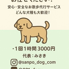 散歩代行
