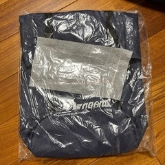 【未使用】中日ドラゴンズファンクラブ特典品リュック