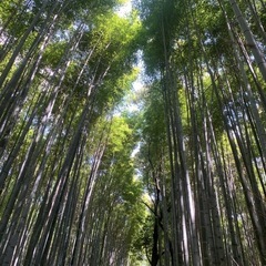 メンバーさんを募集いたします