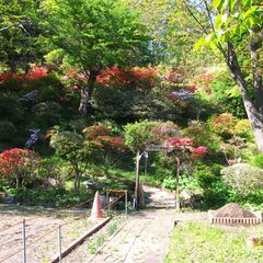 むろらん瑞泉郷 25周年 桜まつり