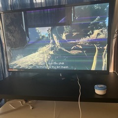 テレビ