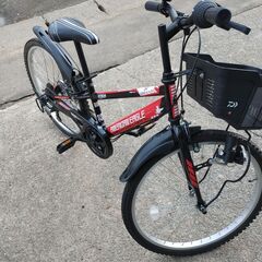 倶知安町 24インチ 子供用自転車 AMERICAN EAGLE RENO CTB24の画像