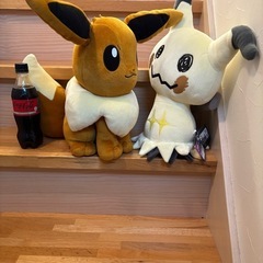 BIGサイズ　ポケモンぬいぐるみセット
