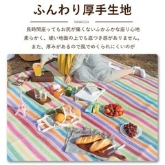 トラベルポーチ　レジャーシート　在庫処分品を原価でお譲りしますの画像