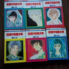 花咲ける青少年　特別編　セット　多分全巻だと思いますの画像