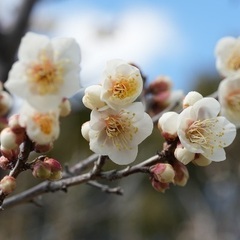 中高年の友達