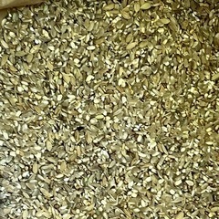 くず米　
割れ米、玄米、実りつくし、農薬未使用　令和６年産　約2...