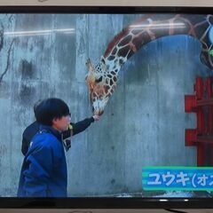 ♪アグレクション D32TV 液晶テレビ 32型TV 2021年 札幌♪の画像