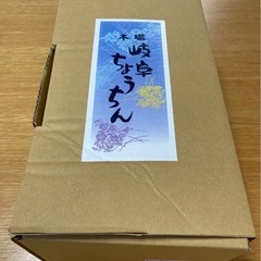 岐阜ちょうちんの画像