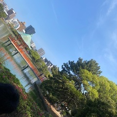 あさん歩