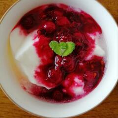 ジューンベリー苗　果樹苗　庭木　落葉樹　ご希望の方に花苗プレゼントの画像