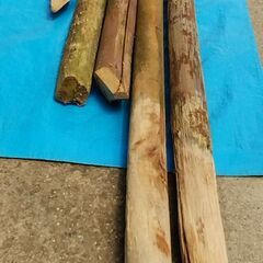 中古品の杭 14本の画像