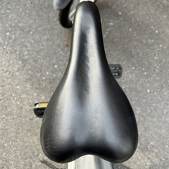 (422)￥11000(税込) Three Stone 折り畳み　自転車　タイヤ20インチの画像