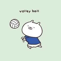 山口市小郡でゆるいバレーボールしましょ