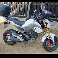 🔴美品⏩️GROM　グロム　JC75-？リア右⏩️ウインカー❌非対応ですの画像
