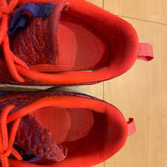 NIKE 24.0cm Roshe One Flyknit ブライトクリムゾンの画像