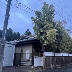 草刈り20坪で1万円ポッキリ