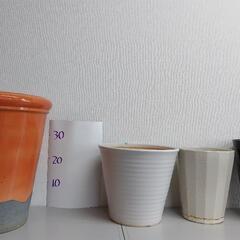 　【終了】植木鉢(陶器)の画像