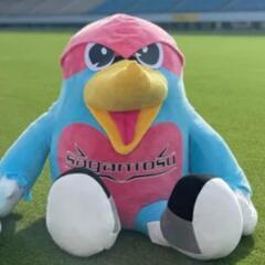サガン鳥栖　特大ウィントス　サイン入りの画像