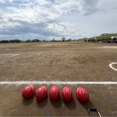 【部員募集】 小学生女子ソフトボールチーム　奥戸青空