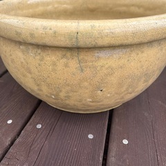 睡蓮鉢
の画像