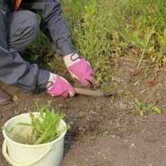 【25分／1袋1000円！】草むしり（45L1袋）@糸島市…