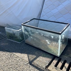 水槽セット　現状品