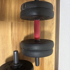 5.5kgダンベル2本　無料 の画像