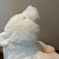 白くまの画像