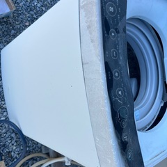 外置きっぱ洗濯機の画像