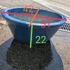 睡蓮鉢