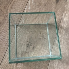 ガラス水槽　15x10cm テラリウムやメダカに　の画像