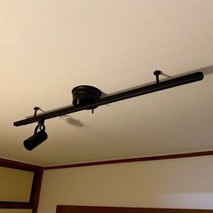 レールライト（LEDスポットライト付き）バー長さ110cm