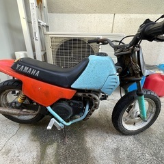 ポケバイ