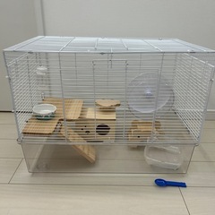 商談中
ハスムターゲージ　陶器のおうち付き