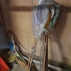 虫取り網　新品