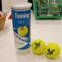 0502-177 テニスボール