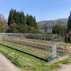 ビニールハウス