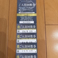 大特価‼️水春松井山手　入浴回数券　４枚