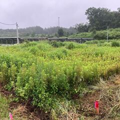 地域密着・見積無料！仙台市・多賀城市のプロが手掛ける解体工…