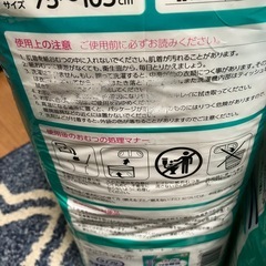 【まとめ売り91枚】ライフリー うす型軽快パンツ 下着の感覚 超うすパンツ Lサイズの画像