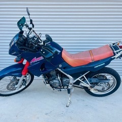 カワサキ KLE250 アネーロ　の画像