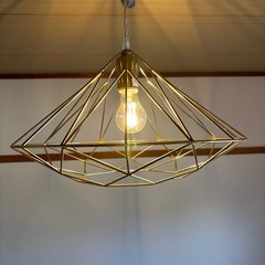 アクタス☆ペンダントライト&新品LEDエジソン電球