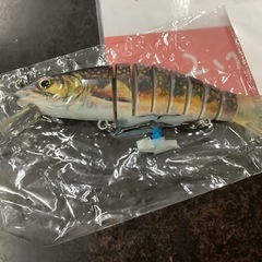 ルアー①リサイクルショップ宮崎屋　佐土原店　25.7.24Fの画像