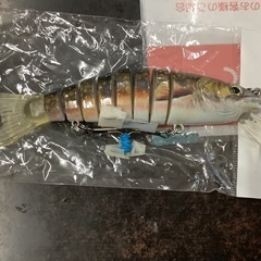 ルアー①リサイクルショップ宮崎屋　佐土原店　25.5.2F