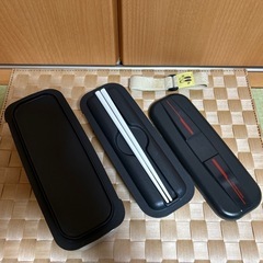 THERMOS 保冷　男性用　お弁当箱　大サイズ　食洗機対応の画像