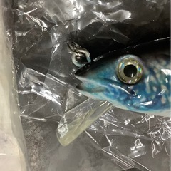 ルアー② リサイクルショップ宮崎屋　佐土原店　25.7.24Fの画像