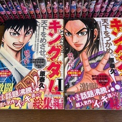 キングダム単行本1巻〜47巻までと総集編の画像