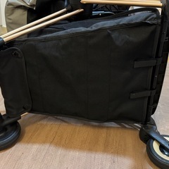 本日限定サイベックス　coyaの画像