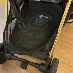本日限定サイベックス　coyaの画像